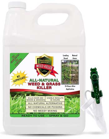 All Natural Weed and Grass Killer