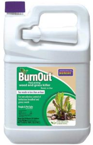 Burnout Weed and Grass Killer Review