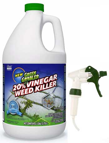 Green Gobbler Weed Killer - Natural herbicide with 20% Vinegar