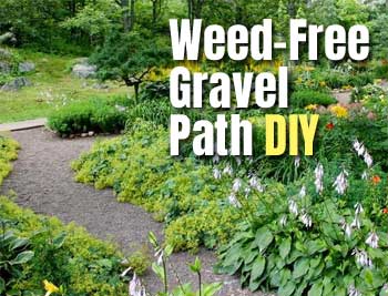 How to Get Rid of Weeds in Gravel Pathway with Natural Homemade Vinegar and Salt Solution