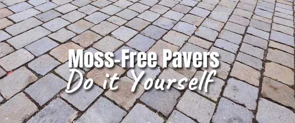 How to Get Rid Moss from Brick Pavers Without Toxic Chemicals